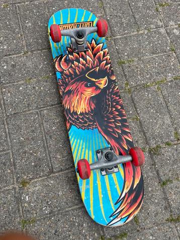 Skateboard (gekocht in skateshop) Perfecte staat beschikbaar voor biedingen