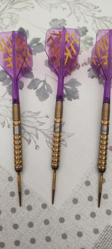 Luke Littler Prodigy 1  23gr. beschikbaar voor biedingen