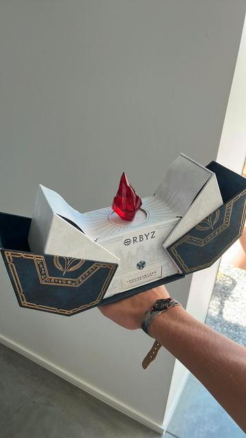 Souvenir d'entrée à Tomorrowland 2025, Une personne