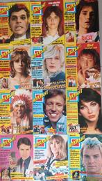 12 x HITKRANT uit 1979 // compleet met alle posters //, Collections, Revues, Journaux & Coupures, Journal ou Magazine, Enlèvement ou Envoi