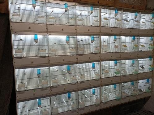 voliere, Dieren en Toebehoren, Vogels | Hokken en Kooien, Gebruikt, Aluminium, Ophalen