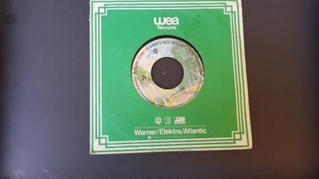 7" Randy Newman - Rider in the rain beschikbaar voor biedingen