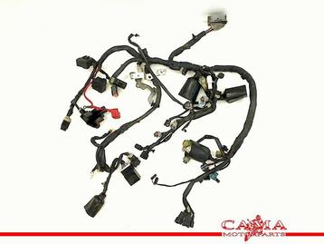 KABELBOOM Yamaha XJ 6 2009-2012 (XJ6 XJ6S XJ6N Diversion) beschikbaar voor biedingen