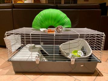 Kooi met accessoires beschikbaar voor biedingen