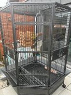 Papegaaienkooi, Dieren en Toebehoren, Vogels | Hokken en Kooien, Ophalen, Gebruikt