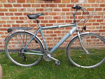 Herenfiets  beschikbaar voor biedingen