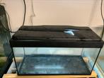 Aquarium 80x30x40, Dieren en Toebehoren, Ophalen