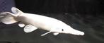 ‼️Gezocht‼️ witte / platinum alligator gar, Dieren en Toebehoren, Vissen | Aquariumvissen