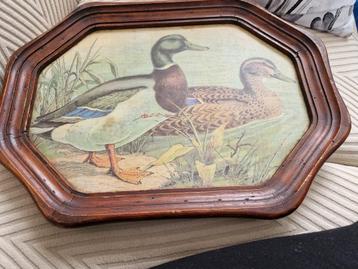 Mooi oud dienblad met wilde eenden op beschikbaar voor biedingen