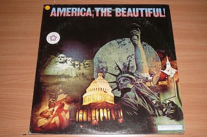 LP  :  America  :  The Beautiful !  (96), CD & DVD, Vinyles | Pop, Enlèvement ou Envoi