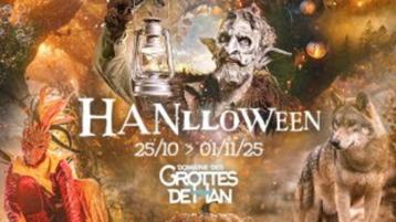 Grotten van Han - 2 tickets beschikbaar voor biedingen