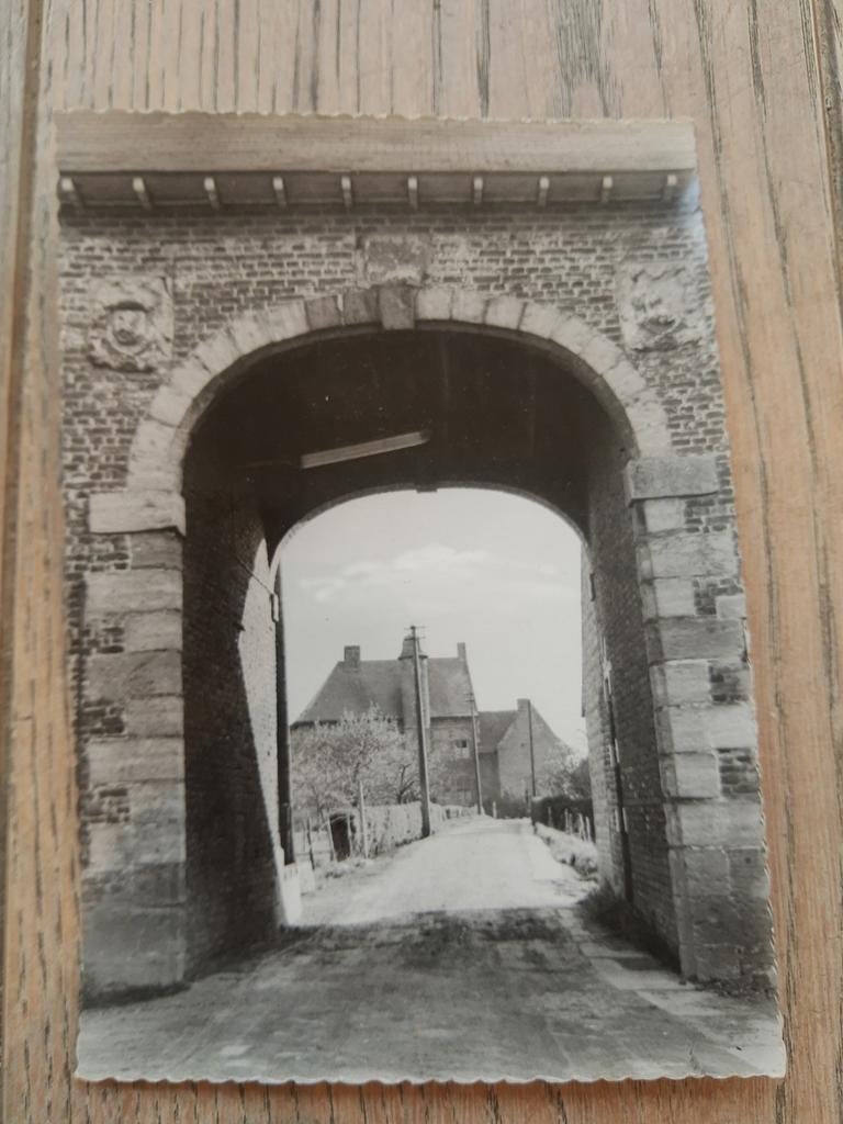 Postkaart : abdij Petegem a/d Schelde, Verzamelen, Ophalen of Verzenden