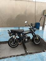 Dax klasse A 1,5 jaar oud, Enlèvement, Comme neuf