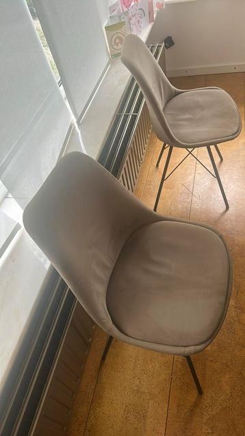 Mooi velvet taup stoelen beschikbaar voor biedingen