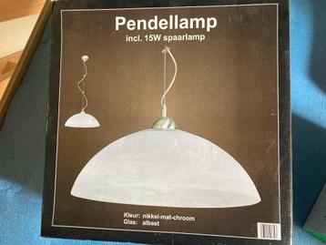 Pendellamp, Enlèvement, Utilisé
