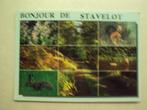 51592 - BONJOUR DE STAVELOT - 9 ZICHTEN, Collections, Envoi