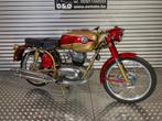 Benelli 175 Super Sport 4T in perfect onderhouden staat!, Motoren, Motoren | Oldtimers, 175 cc, Overig, 11 kW of minder, 1 cilinder