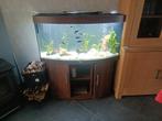 Aquarium Jewel incl vissen en toebehoren, Dieren en Toebehoren, Ophalen, Gebruikt, Gevuld zoetwateraquarium
