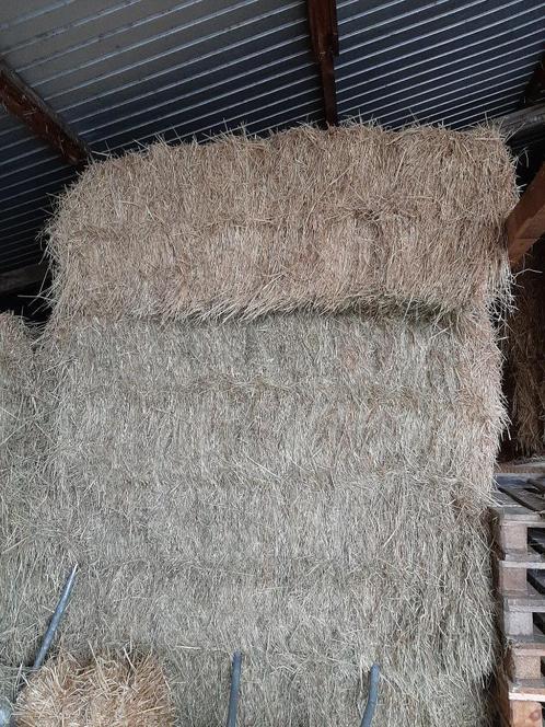 geleverd stro en hooi !!, Dieren en Toebehoren, Runderen, Geslacht onbekend, 0 tot 2 jaar