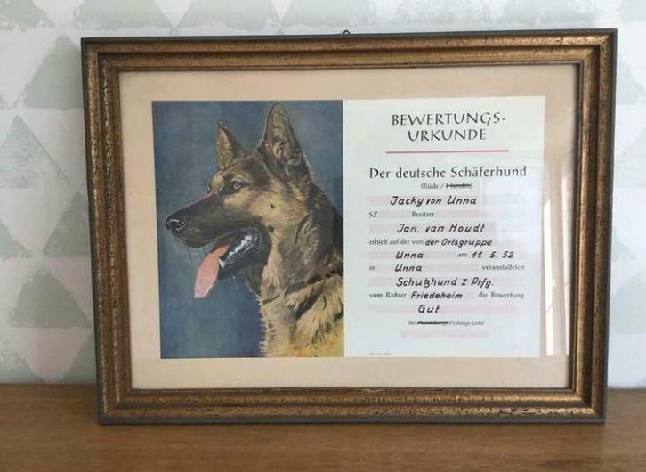 Beoordelingscertificaat Duitse Herder 1952, Verzamelen, Dierenverzamelingen, Ophalen of Verzenden