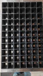 Zaaitray 4,50 x 4,50, Enlèvement