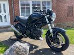 Ducati Monster, Motoren, 2 cilinders, Particulier, Meer dan 35 kW, 695 cc