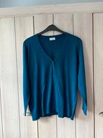 Blauwe gilet Canda, Ophalen of Verzenden, Gedragen, Maat 42/44 (L)
