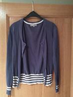 Blauw/paarse gilet jbc, Blauw, JBC, Ophalen of Verzenden, Zo goed als nieuw
