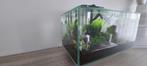 Fluval Edge I 2.0 Aquarium | 23L | Compact en stijlvol ontwe, Ophalen, Zo goed als nieuw, Gevuld zoetwateraquarium