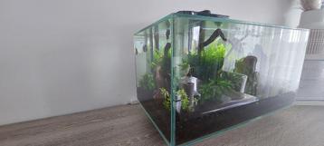 Aquarium Fluval Edge I 2.0 | 23L | Design compact et élégant, Enlèvement, Comme neuf, Aquarium d'eau douce rempli