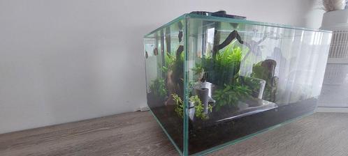 Fluval Edge I 2.0 Aquarium | 23L | Compact en stijlvol ontwe, Dieren en Toebehoren, Vissen | Aquaria en Toebehoren, Zo goed als nieuw