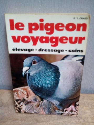 Le Pigeon Voyageur R.Y.CHARD . beschikbaar voor biedingen