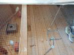 Vogelkooi, Dieren en Toebehoren, Ophalen, Zo goed als nieuw, Vogelkooi