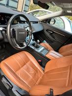 Range lichte vracht, Auto's, Land Rover, Euro 6, 4 cilinders, Leder, Bruin