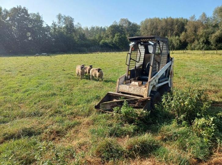 Werkzaamheden, Animaux & Accessoires, Autres accessoires pour animaux, Neuf, Enlèvement