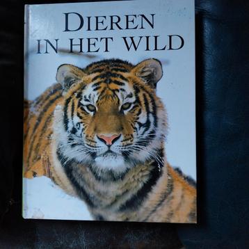 Dieren in het wild beschikbaar voor biedingen