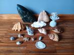 Lot gesteente en schelpen, Enlèvement ou Envoi, Coquillage(s)