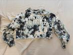 Zeer mooie sweater van Hollister maat S, Ophalen, Zo goed als nieuw, Maat 36 (S)