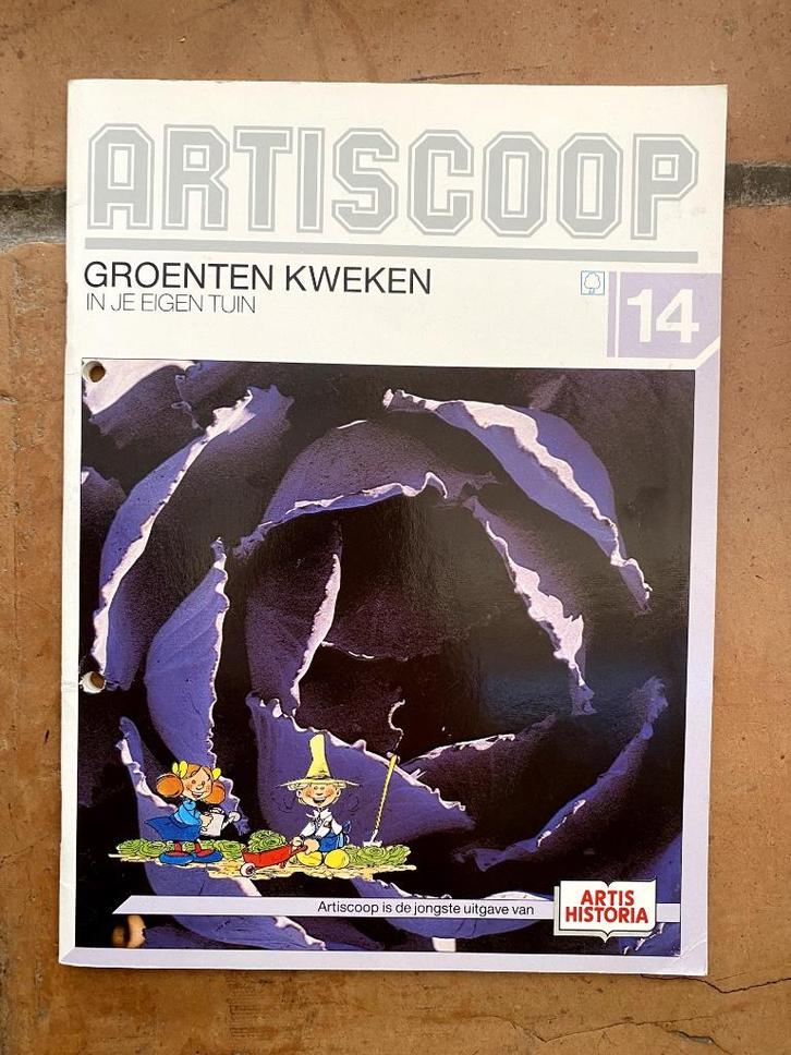 Lotje Louis-Michel Carpentier, Verzamelen, Stripfiguren, Gebruikt, Plaatje, Poster of Sticker, Overige figuren, Ophalen of Verzenden