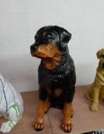 Hond, Ophalen