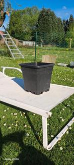 Bacs en plastique pour plantes, Ophalen