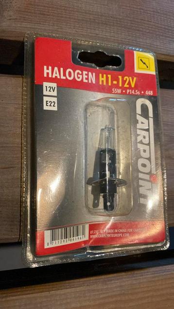 Ampoules halogènes H1 12V (2 pièces)