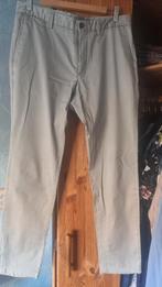 Superbe pantalon MASSIMO DUTTI, Vêtements | Hommes, Neuf, Enlèvement ou Envoi, Beige, Massimo dutti