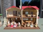 Sylvanian Families - Groot Lot met School, Huis & Figuren, Kinderen en Baby's, Speelgoed | Poppenhuizen, Ophalen, Zo goed als nieuw
