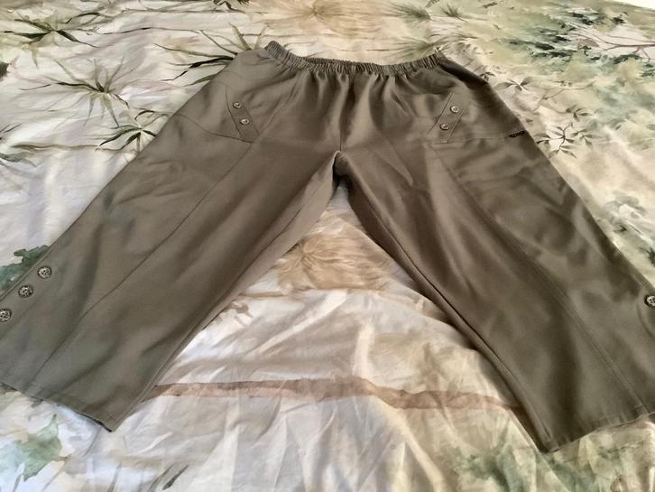 Kleding maat 52 en groter, Kleding | Dames, Jassen | Winter, Nieuw, Maat 46/48 (XL) of groter, Overige kleuren, Ophalen