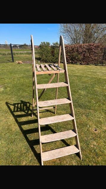 Decoratie laddertje beschikbaar voor biedingen