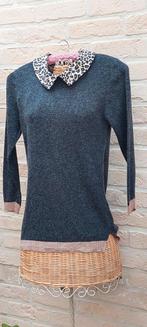 Trui maat l zara knit, Kleding | Dames, Maat 42/44 (L), Ophalen of Verzenden, Zo goed als nieuw, Grijs