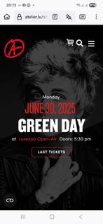 Green Day in concert 30/6/25 Luxembourg, Twee personen