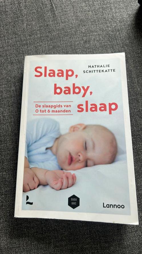 Nathalie Schittekatte - Slaap baby slaap, Boeken, Zwangerschap en Opvoeding, Gelezen, Ophalen