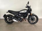 Ducati Scrambler, Motos, Motos | Ducati, Permis Moto A, Entreprise, Plus de 35 kW, 2 cylindres